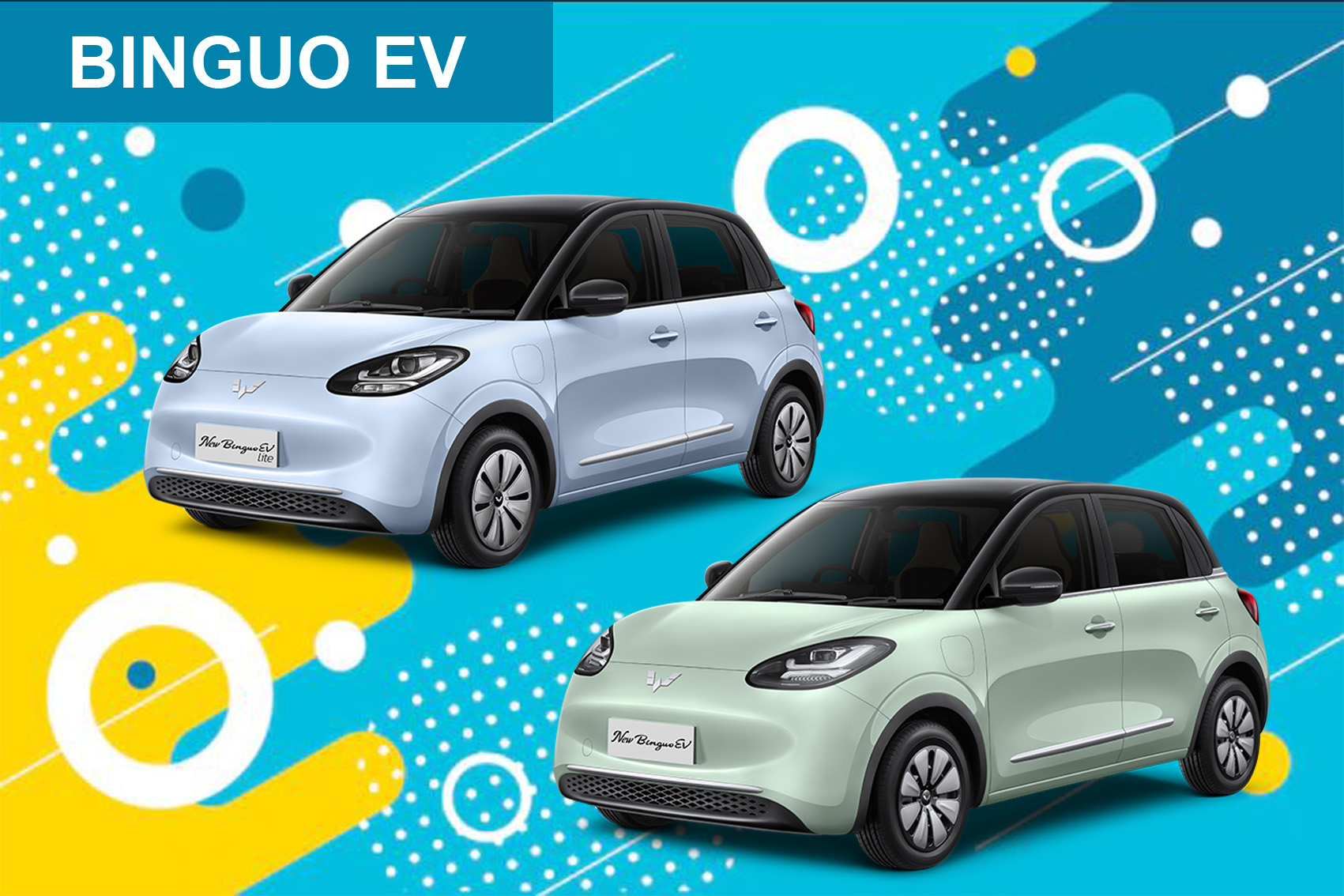 BINGUO EV